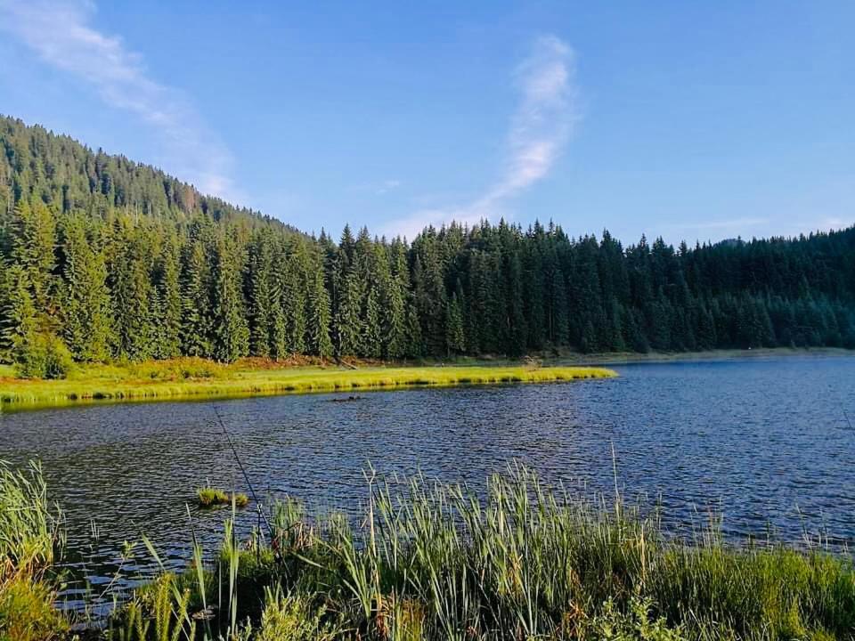 Deer Lake 521 At Oak Residence Hotel & Relax Σμόλιαν Εξωτερικό φωτογραφία